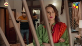 Dil Pe Dastak - Episode 14